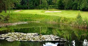 Image result for Ross-On-Wye Bowling Club