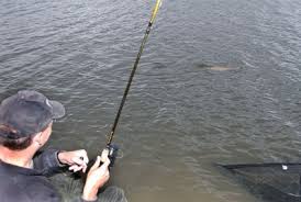 Image result for DRAYTON ANGLING CLUB