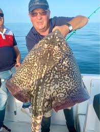 Image result for Raja clavata