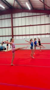 Image result for Harriers Acrobatic Gym Club