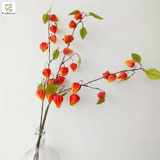 Attēlu rezultāti vaicājumam “Enkianthus chinensis”