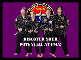 Image result for Precision Martial Arts