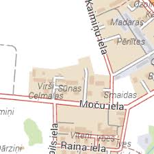 Attēlu rezultāti vaicājumam “Oligia sp.”