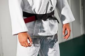 Image result for Intelligent Martial Arts