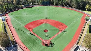 Image result for Baseball