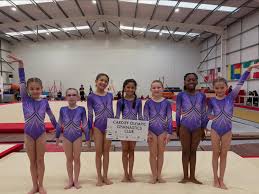 Image result for Cardiff Olympic Gymnastics Club