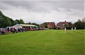 Image result for Austerlands Cc