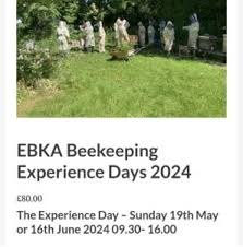 Image result for Boccia In Epsom & Ewell (Bees)