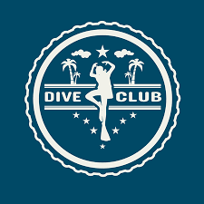 Image result for 3D Diving Club