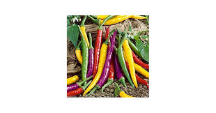 Afbeeldingsresultaat voor cayenne blend hot pepper