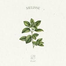 Image result for Melisse