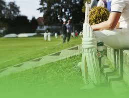 Image result for Preston Village Cricket Club