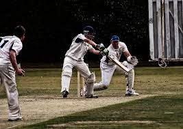 Image result for Cork County Cricket Club