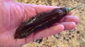 Afbeeldingsresultaat voor aji panca hot pepper