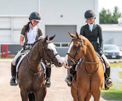Image result for Weybridge Equestrian Centre