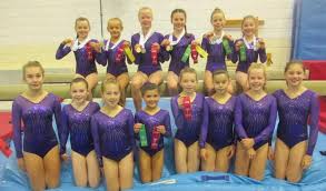 Image result for Zodiac Gymnastics Club