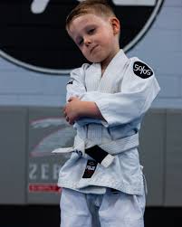 Image result for Anfield Youth Activity Centre Judo Club