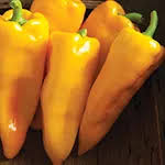 Afbeeldingsresultaat voor topepo giallo sweet pepper