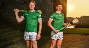 Image result for University Of Limerick Gaa Hurling Club