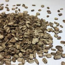 Attēlu rezultāti vaicājumam “Angelica archangelica fruit”