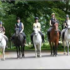 Image result for Dalkeith Park Equestrian Club
