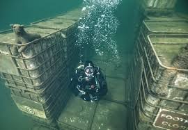 Image result for Wraysbury Dragons