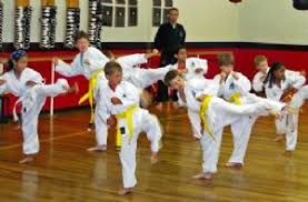 Image result for Windsor Higashi Karate Club