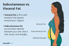 Image result for fat
