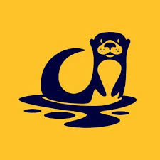 Image result for Cults Otters Amateur Swimming Club