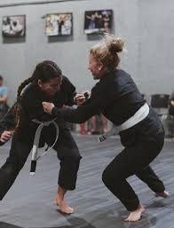 Image result for Apollo Martial Arts Academy