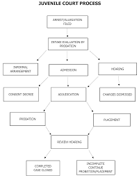 Attēlu rezultāti vaicājumam “juvenile”