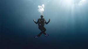 Image result for World Divers
