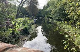 Image result for Frimley