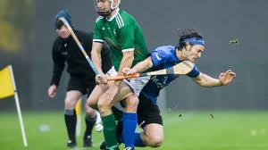 Image result for World of Shinty