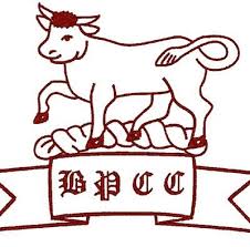 Image result for Blagdon Cricket Club