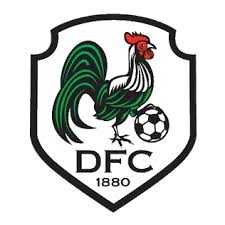 Image result for Dorking Wanderers F C