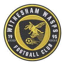 Image result for Wasps Football Club
