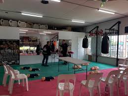 Image result for St Albans Ultimate