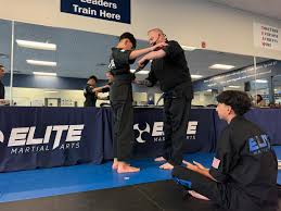 Image result for Elite Martial Arts Academy