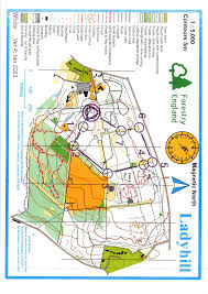 Image result for Walton Chasers Orienteering Club