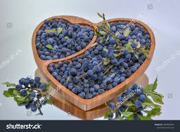 Attēlu rezultāti vaicājumam “Prunus domestica subsp. insitita fruit”