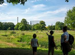 Image result for Octopushy (Croydon Area)