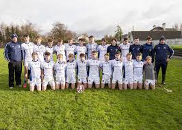 Image result for Moycarkey-Borris Gaa Club