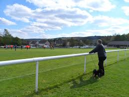 Image result for Whaley Bridge Cricket Club