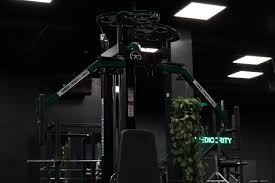 Image result for Cannons Health & Fitness Clubs