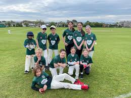 Image result for Chew Magna Cricket Club