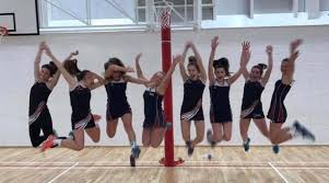 Image result for Penryn Netball Club