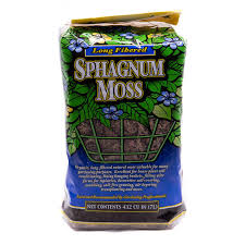 Attēlu rezultāti vaicājumam “Sphagnum molle”