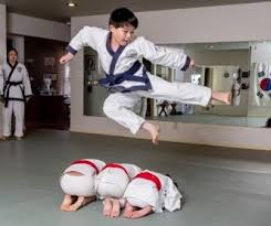 Image result for Moo Sool Academy