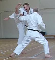 Image result for Stockport Shotokan Karate Club